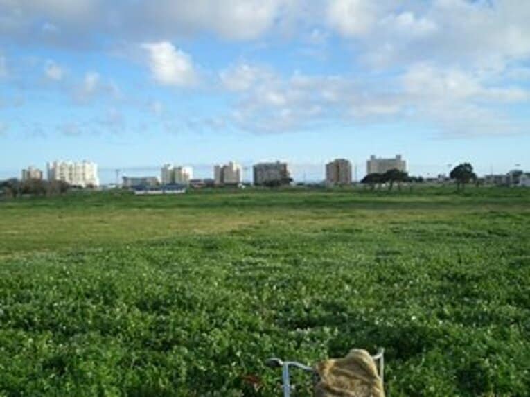 開幕直前の南アはどうなっている？日本代表の歓迎ムードを体感する。(4)