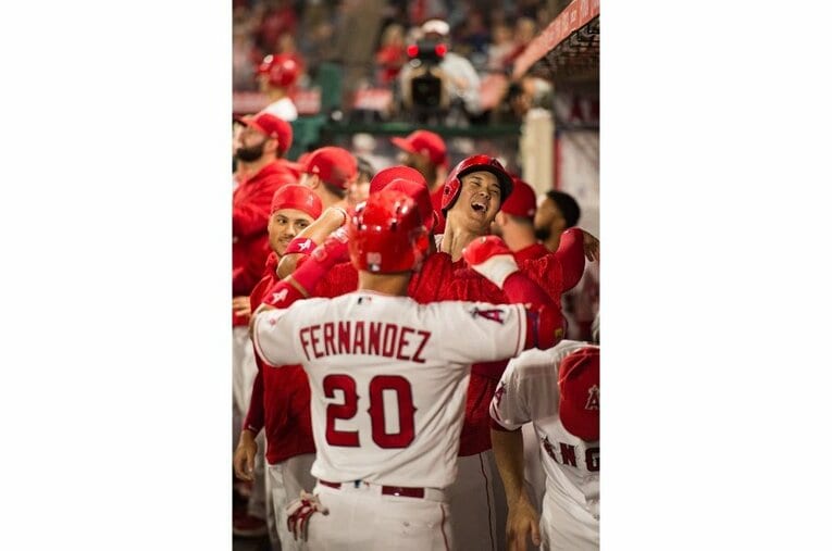 2018年©Nanae Suzuki