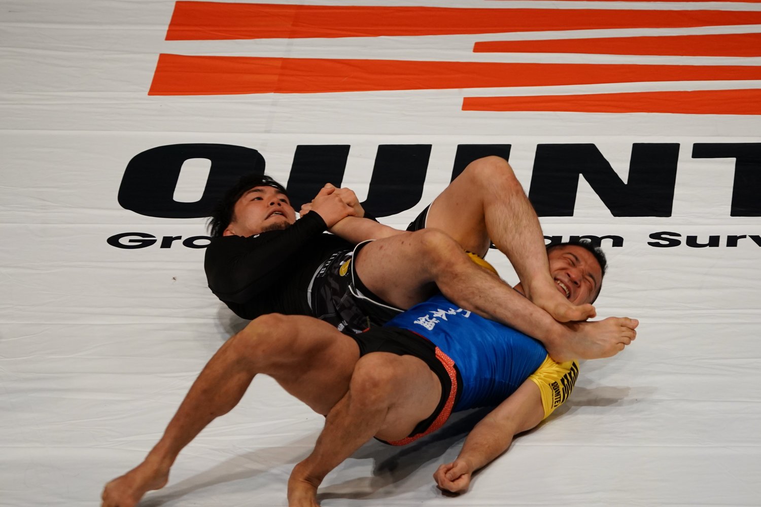 中村大介との実力者対決を制した世羅智茂（左）　©QUINTET/Takayuki Nagatomo