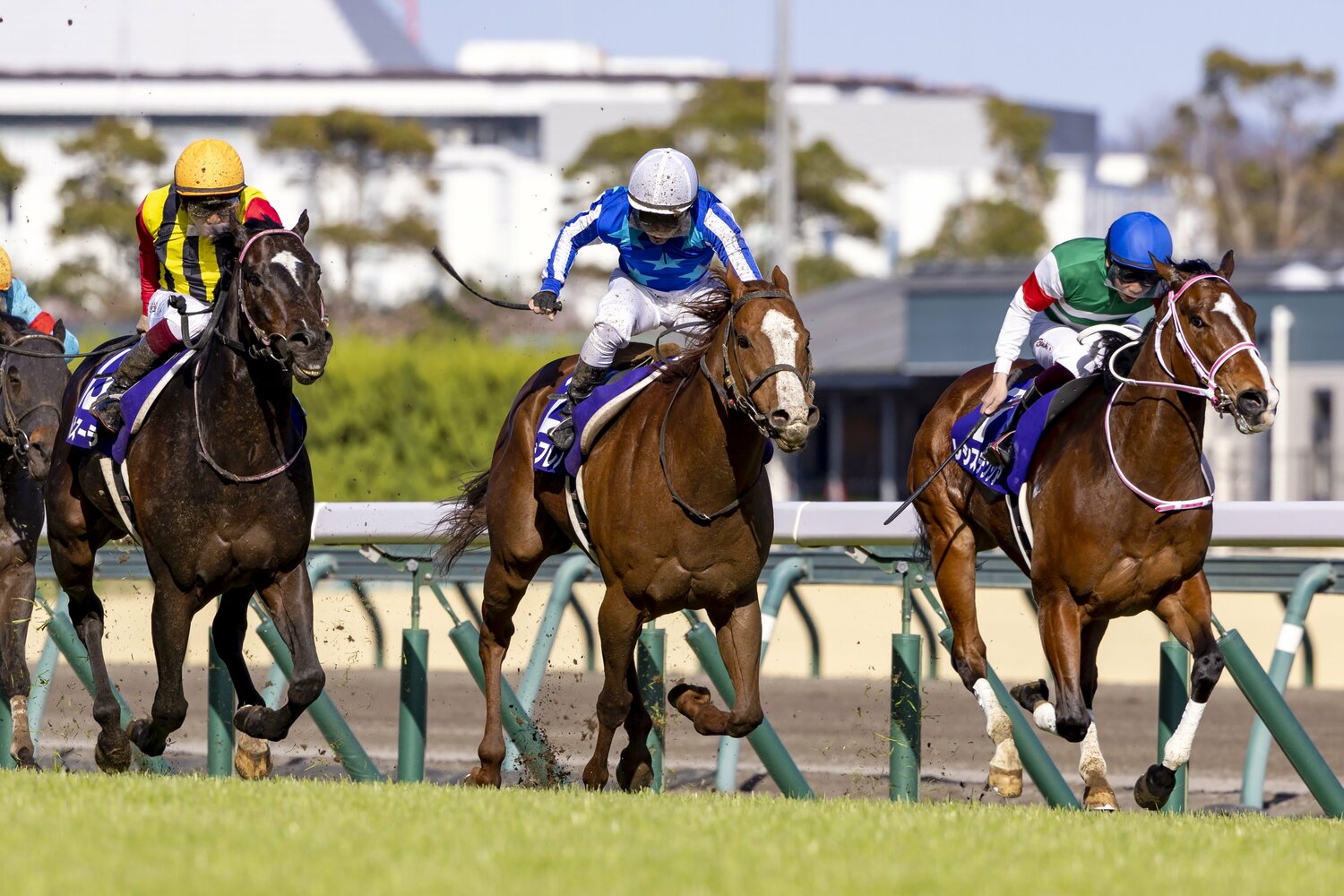 叩き合いから力強く抜け出したナランフレグ ©Photostud