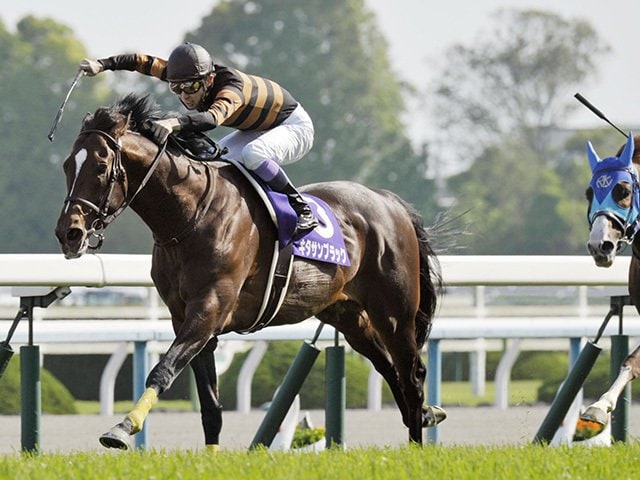 サトノダイヤモンド 新馬戦から2017天皇賞・春まで国内全10戦現地