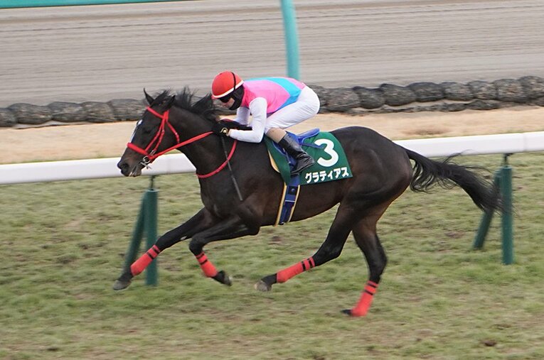 1月17日の京成杯を制したグラティアス。ルメール騎手の信頼も勝ちえた ／ photograph by Satoshi Hiramastsu