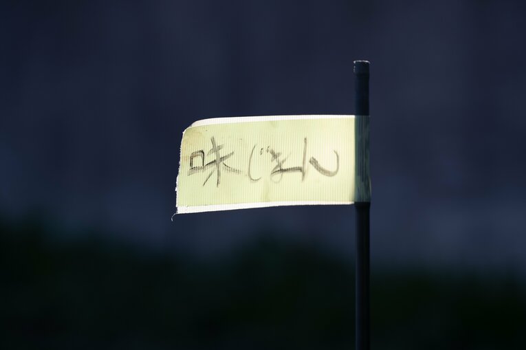 品種のメモ書き　©Nanae Suzuki