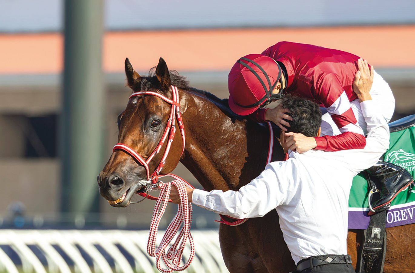フォーエバーヤングには『お前はすごいんだぞ』と伝えたい」坂井瑠星が