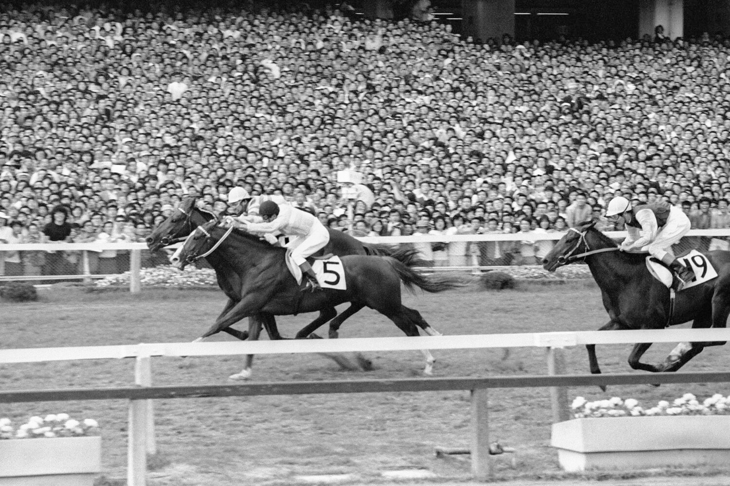 1974年、中島啓之はコーネルランサー（5番）で日本ダービー優勝を果たした　©JIJI PRESS