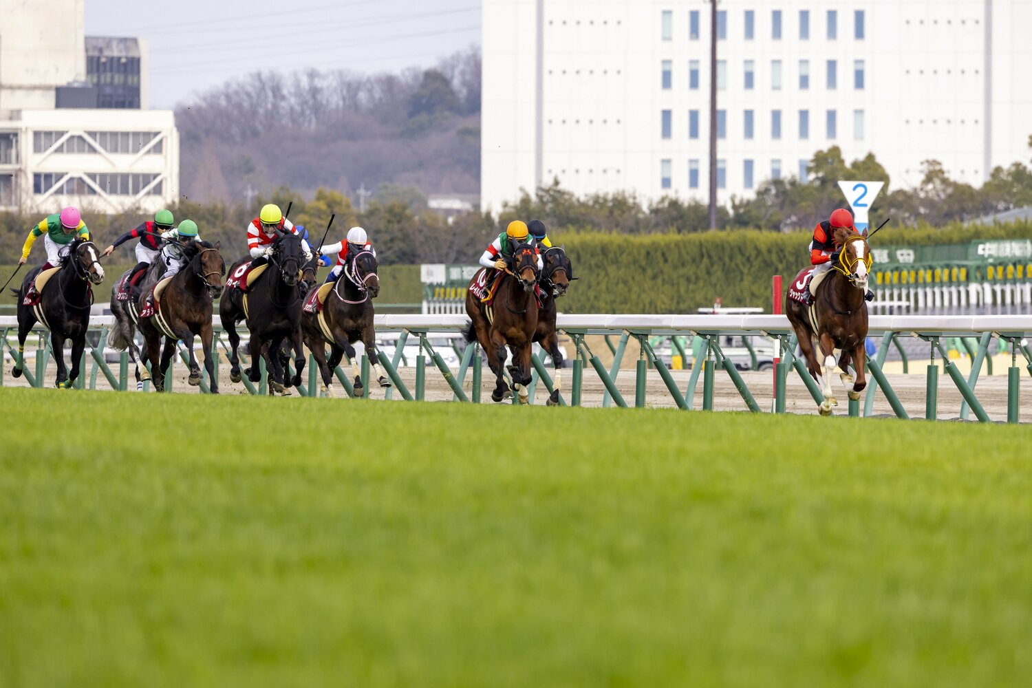前走・金鯱賞でも逃げ切ったジャックドール　©Photostud