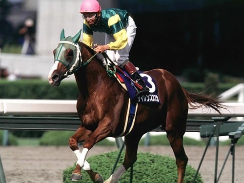 競馬.テンポイント.パネル.心に残る名馬 空しい