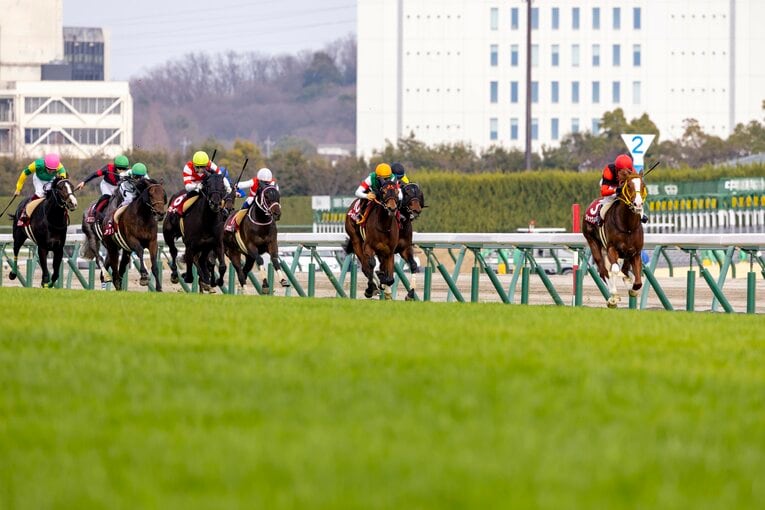 前走・金鯱賞でも逃げ切ったジャックドール　©Photostud