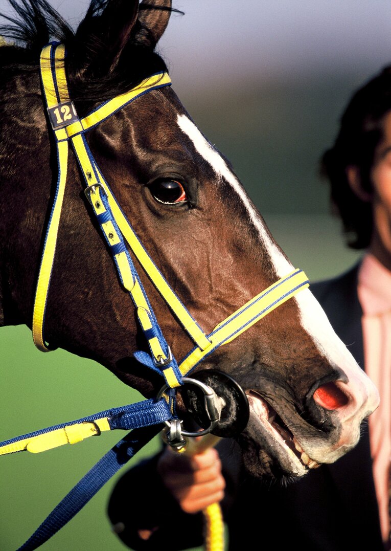 牝馬として17年ぶりに天皇賞・秋を制したエアグルーヴ　©Keiji Ishikawa