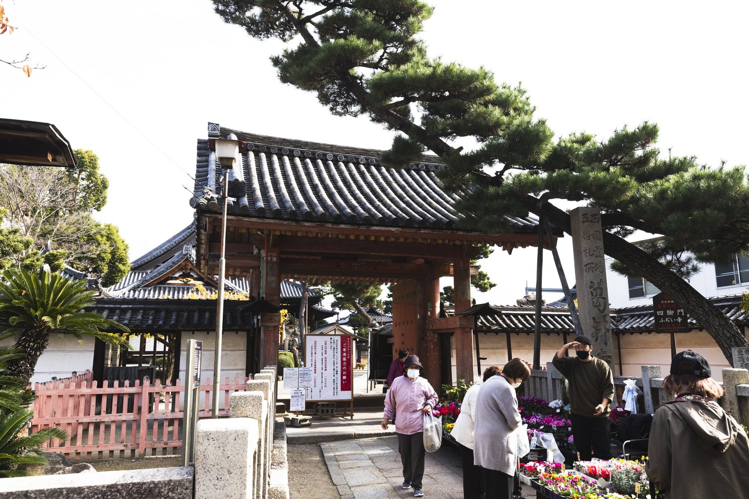 725年に創建されたという葛井寺。門前で花を売っていた