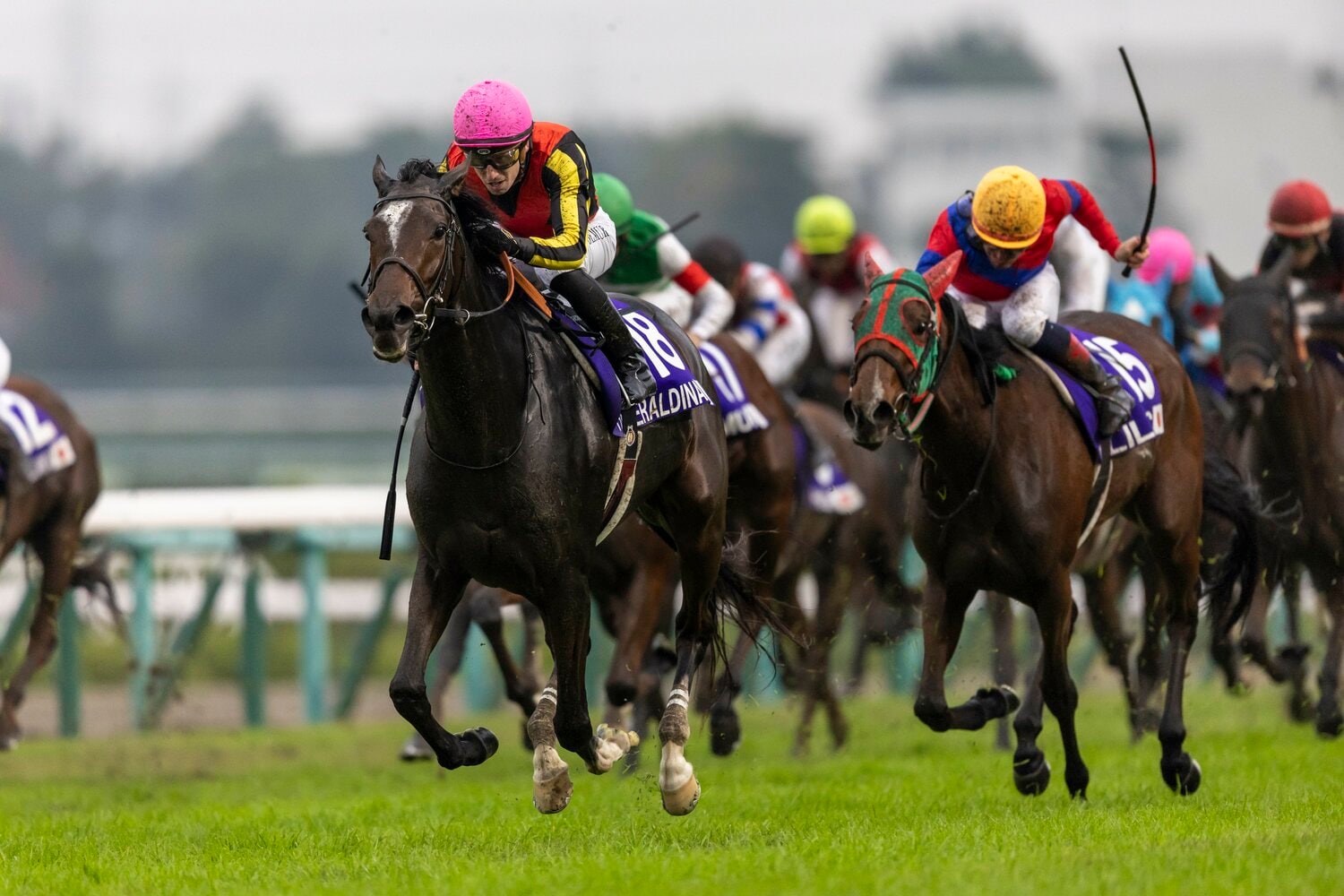 突き抜けるジェラルディーナ　©Photostud