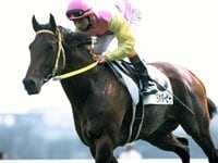 朝日杯を勝った名馬バブルガムフェローの運命を変えた“驚きの選択”とは