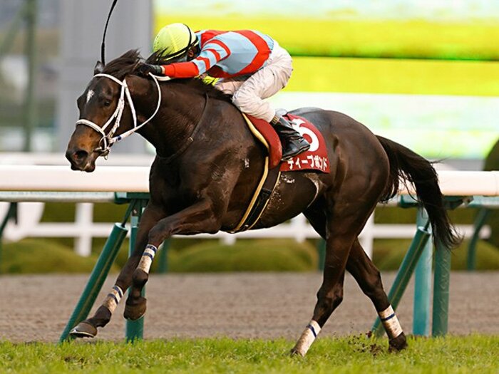 天皇賞・春は武豊「これが京都だったら…」の再来？ 阪神の“短い直線356.5m”でディープボンドに勝ちうる馬は＜Number Web＞ photograph by Photostud
