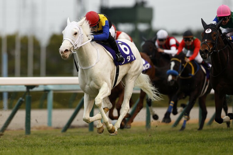 無敗で阪神ジュベナイルフィリーズを制したソダシ。「白毛のGI馬誕生」のニュースは大々的に報じられ、一躍アイドルホースとなった　©Photostud