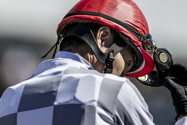 武豊 ／ photograph by photostud