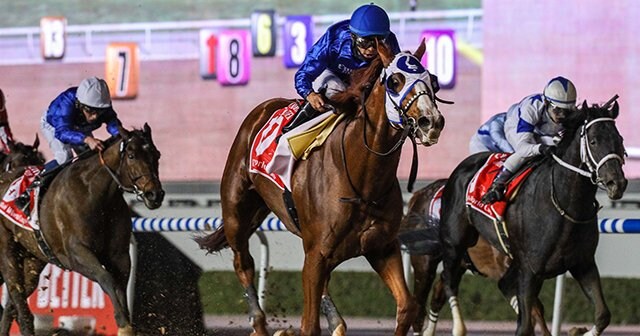 ウォッカ】日本ダービー全18頭出走馬(現地的中馬券) ウオッカ】日本