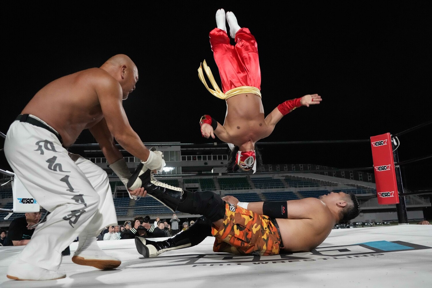 きれいなムーンサルトを見せるハヤブサ　©Essei Hara