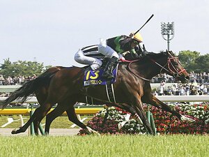 エリザベス女王杯は「超牡馬級」。大器ラヴズオンリーユーが大本命。