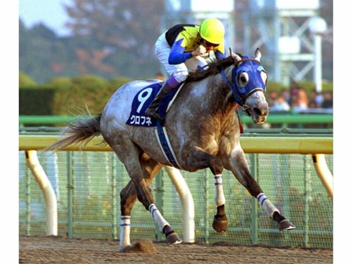 武豊も強さに呆れた!? クロフネ、衝撃の武蔵野Sを振り返る…ダートでは“超ワールドクラス”だった【追悼】＜Number Web＞ photograph by Sankei Shimbun
