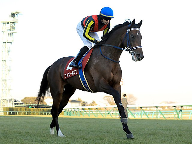 春の天皇賞、本命はフィエールマン。ルメールは「盾男」たちに並べるか。 - 競馬 - Number Web - ナンバー