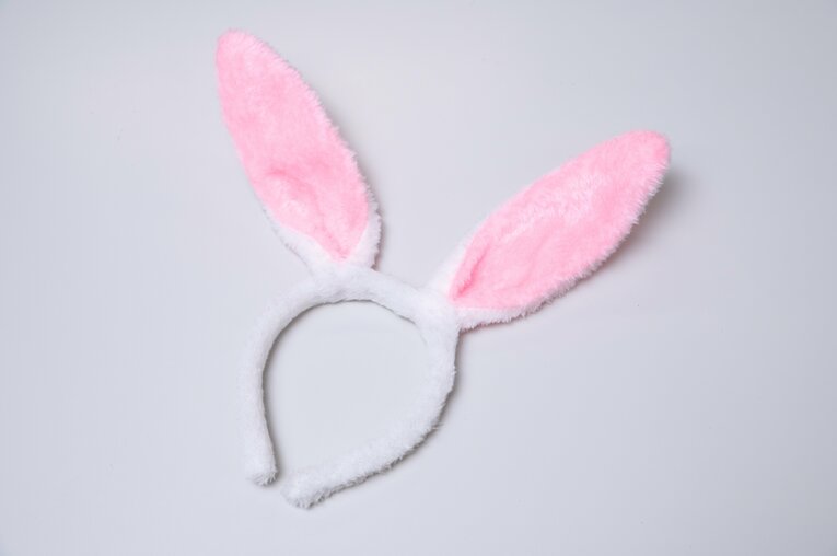 撮影に使ったうさ耳　©Tadashi Hosoda