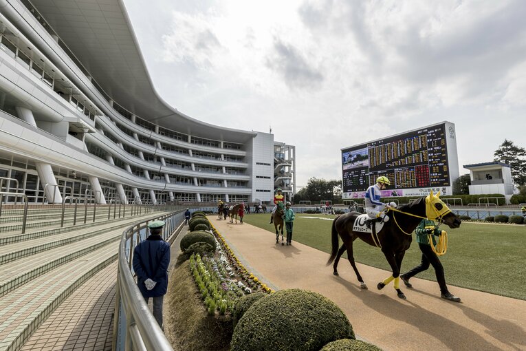 コロナ禍で無観客となった中山競馬場のパドック　©Kiichi Matsumoto