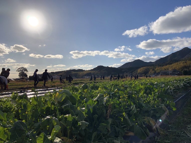 農業部の作業シーン　©︎Takagawa Gakuen