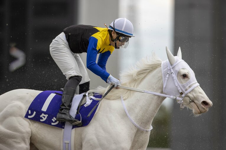 初ダート挑戦となったソダシ