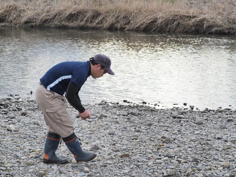 石を拾う橋本さん。上から見て形を判断し、拾って厚さ、重さを判断する ©Yu Saito