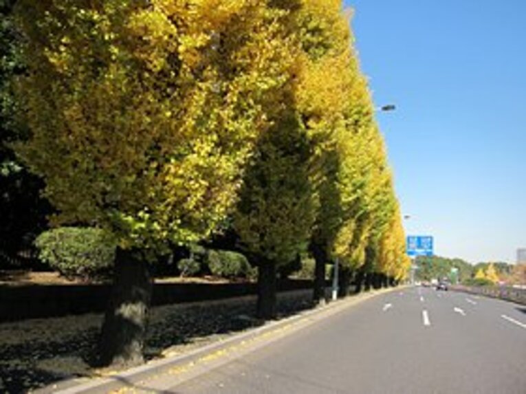 葛飾区が産んだ「昭和の2大スター」両さんと寅さんに、教わったこと。(2)