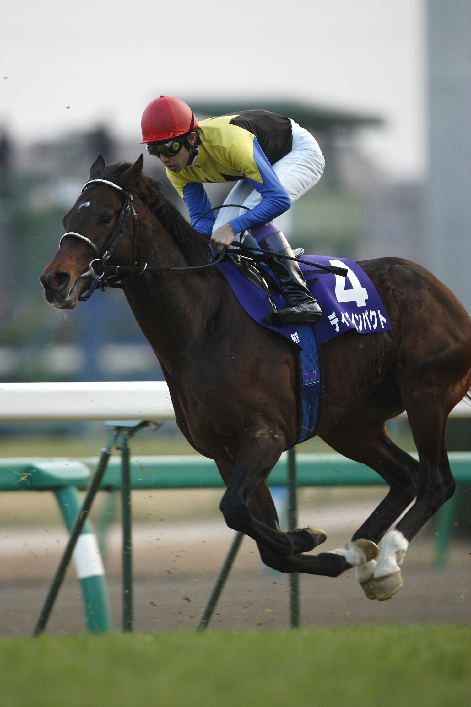 引退レースの有馬記念（2006年）でのディープインパクトと武豊　©Takuya Sugiyama