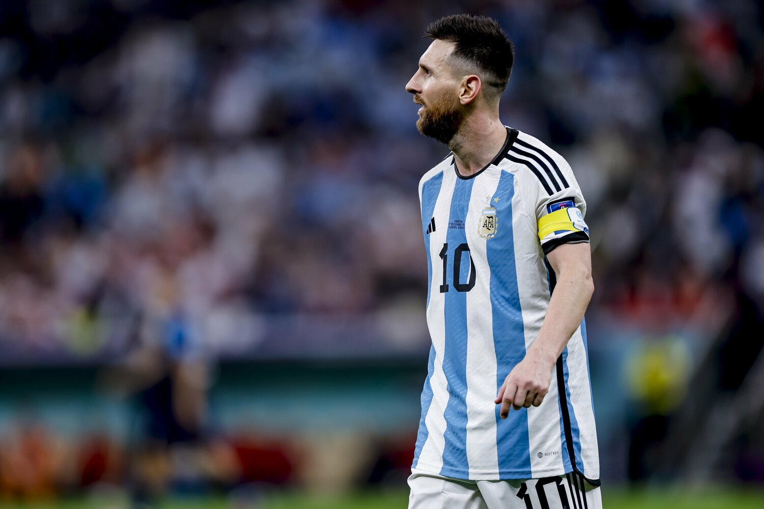 ©Kiichi Matsumoto/JMPA