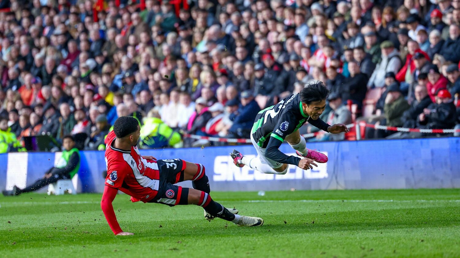 相手CBホルゲイトの“悪質タックル”【3枚目／全5枚】。スパイクの裏が直撃、三笘は衝撃で倒れ込んだ　©AFLO