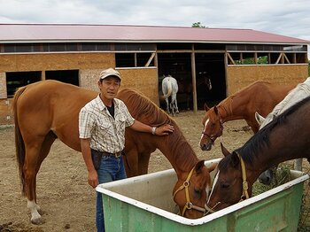 サラブレッドが余生を過ごす場所。「馬愛」に溢れた養老牧場を訪ねて。＜Number Web＞ photograph by Akihiro Shimada