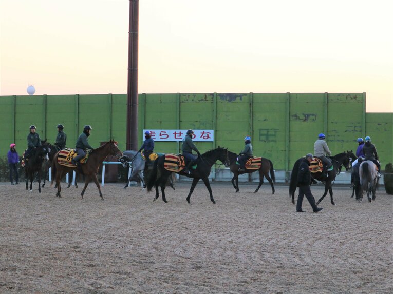 藤沢厩舎の“輪乗り”運動　©Satoshi Hiramatsu