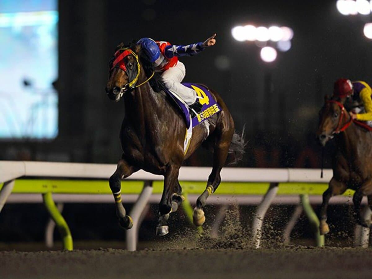 望みは買い目よりも淡い共感 雨の大井競馬 予想屋の 告白 競馬 Number Web ナンバー