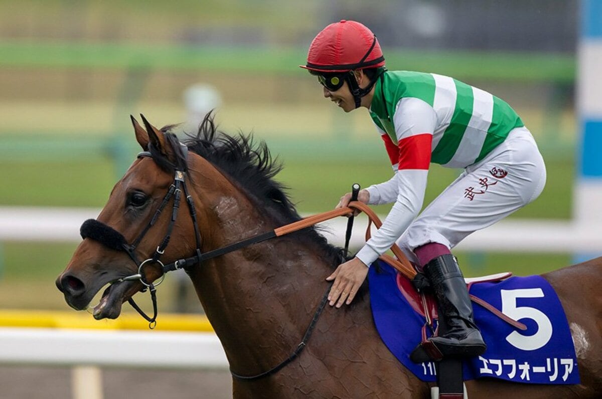 競馬ライター 人気 年収