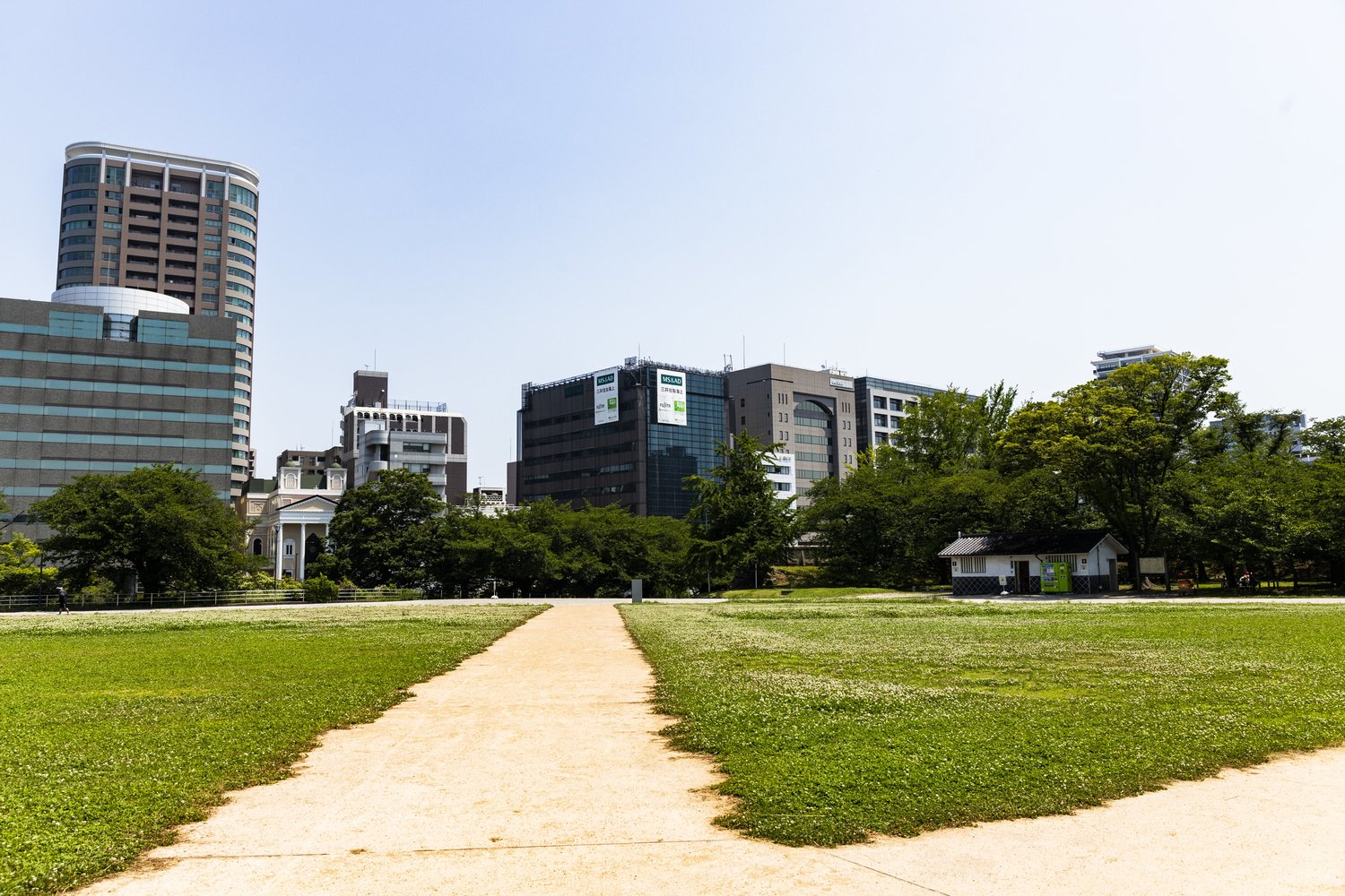 一気に視界が広がった。この広々とした草原が平和台球場の跡地だ