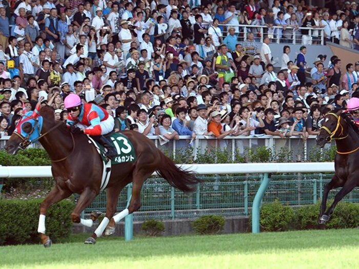 スプリンターズSは「女の戦い」に！中心はベルカントも、混戦は必至。＜Number Web＞ photograph by NIKKAN SPORTS