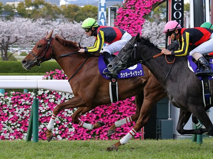 やっぱりデムーロとオルフェだった。ラッキーライラックが大阪杯を完勝。＜Number Web＞ photograph by Yuji Takahashi