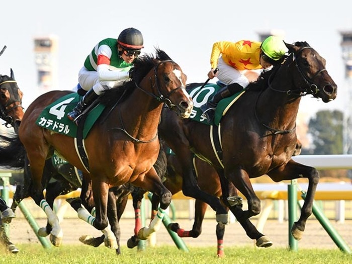 《GIII東京新聞杯》昨年覇者・カラテの“不安”は「爪の状態」? デビューから低迷し、“障害入りすらできなかった”馬の逆襲<Number Web> photograph by Sankei Shinbun