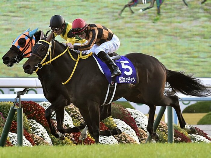 エリ女は「またミルコか」の結末。モズカッチャンは世代上位の実力。＜Number Web＞ photograph by Kyodo News