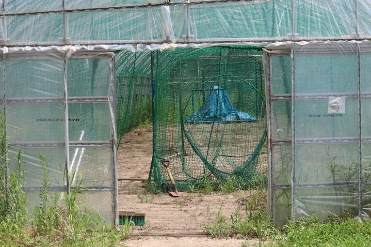 加美農業高校、練習場のビニールハウス