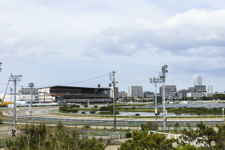 こちらが船橋競馬場（駅からの道の途中で全体が見渡せた）