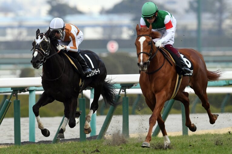 直線で伸びあぐね、7着に敗れた　©Masashi Hara