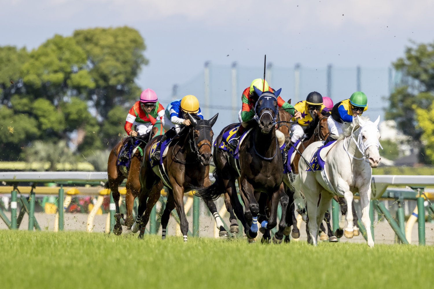 オークスでは8着に敗れたものの、現在は心身ともに前走時よりも成長している　©Photostud