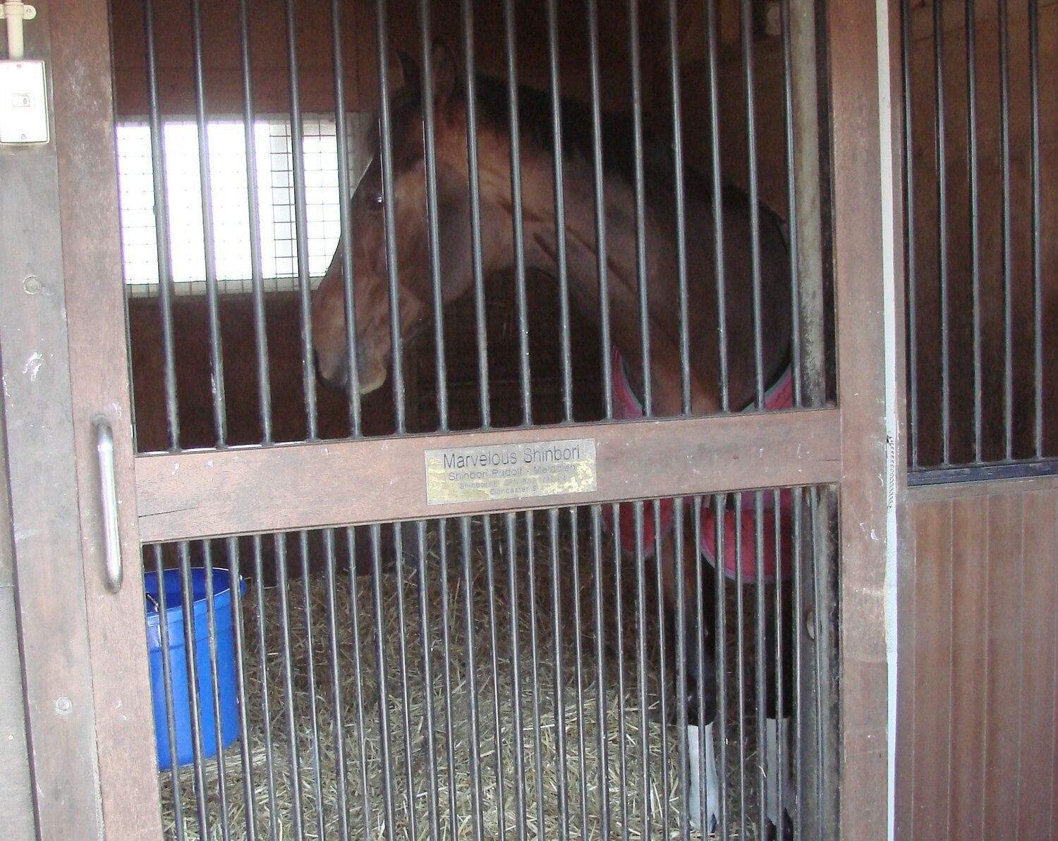 馬房に前扉を設置するのも、以前は当たり前ではなかった　©Satoshi Hiramatsu