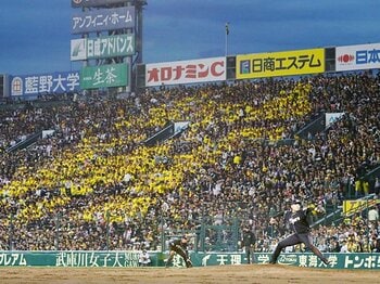 どれだけ負けても、野球は楽しめる。阪神ファンの人生が幸せな理由。＜Number Web＞ photograph by Kyodo News