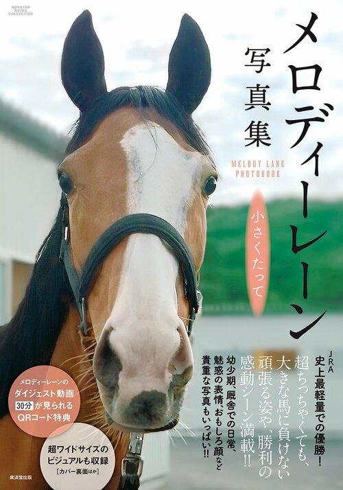 『メロディーレーン写真集 小さくたって』(廣済堂出版)