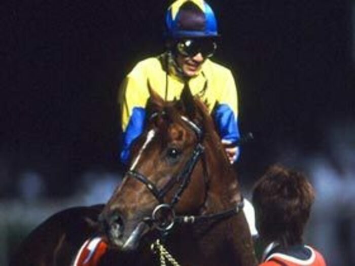 ドバイワールドカップで日本勢は何を得たのか。<Number Web> photograph by Kiichi Yamamoto